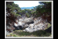 Impressionen 2 Monterey - Pismo Beach (9).jpg